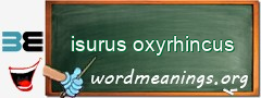 WordMeaning blackboard for isurus oxyrhincus
